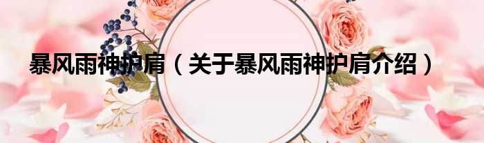 暴风雨神护肩 关于暴风雨神护肩介绍