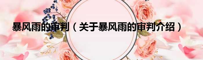暴风雨的审判 关于暴风雨的审判介绍
