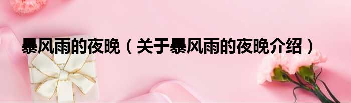 暴风雨的夜晚 关于暴风雨的夜晚介绍