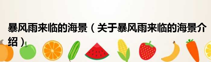 暴风雨来临的海景 关于暴风雨来临的海景介绍