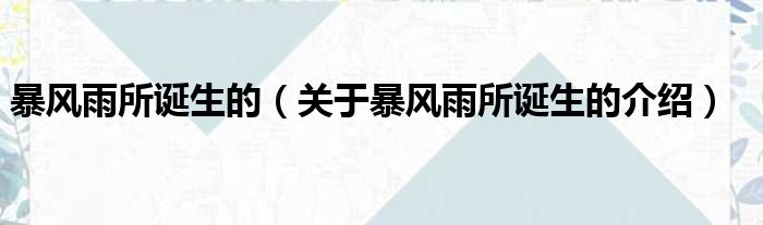 暴风雨所诞生的 关于暴风雨所诞生的介绍