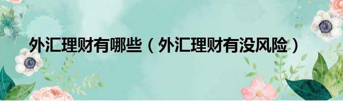外汇理财有哪些 外汇理财有没风险
