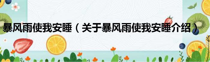 暴风雨使我安睡 关于暴风雨使我安睡介绍