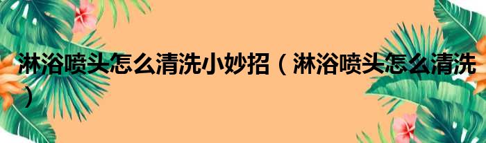 淋浴喷头怎么清洗小妙招 淋浴喷头怎么清洗