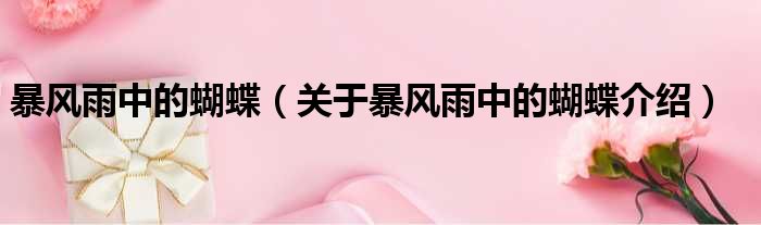 暴风雨中的蝴蝶 关于暴风雨中的蝴蝶介绍