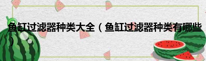 鱼缸过滤器种类大全 鱼缸过滤器种类有哪些
