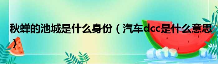 秋蝉的池城是什么身份 汽车dcc是什么意思