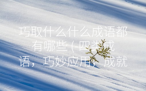 巧取什么什么成语都有哪些 (-四类成语，巧妙应用，成就无限可能”)