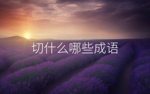 切什么哪些成语