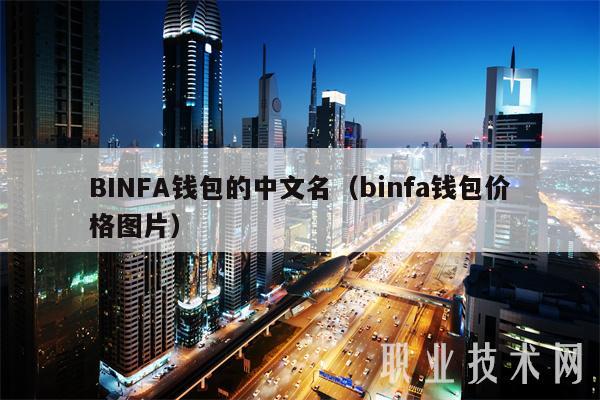 BINFA钱包的中文名(binfa钱包价格图片)