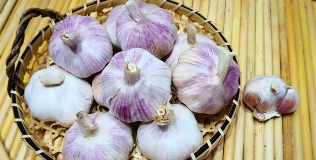 怎么保存大蒜不发芽四种方法 食用大蒜这样存放不发芽不干瘪