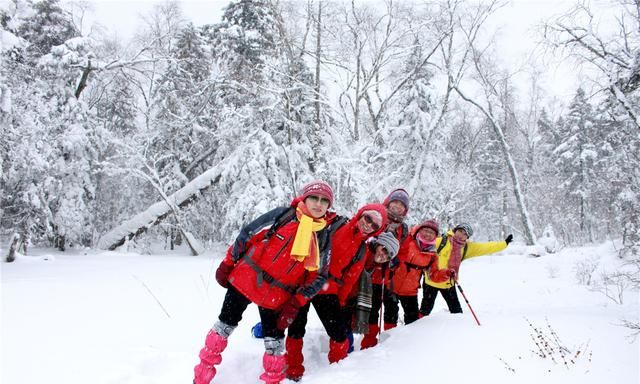 长白山森工集团仙峰盛景图2
