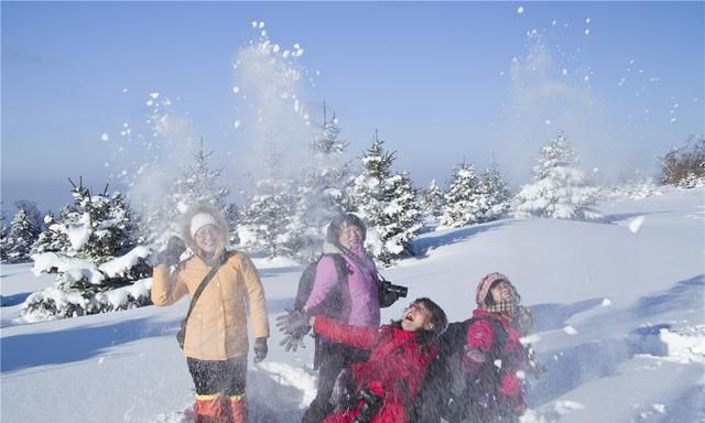 长白山森工集团仙峰盛景图3