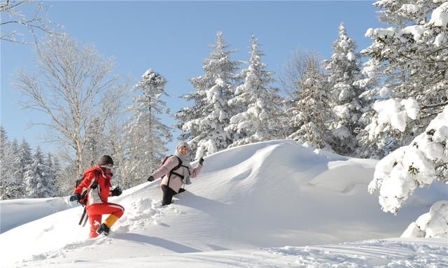 长白山森工集团仙峰盛景图4