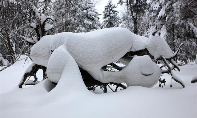 长白山森工集团仙峰盛景图6