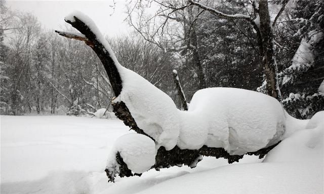 长白山森工集团仙峰盛景图7