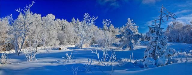 长白山森工集团仙峰盛景图8