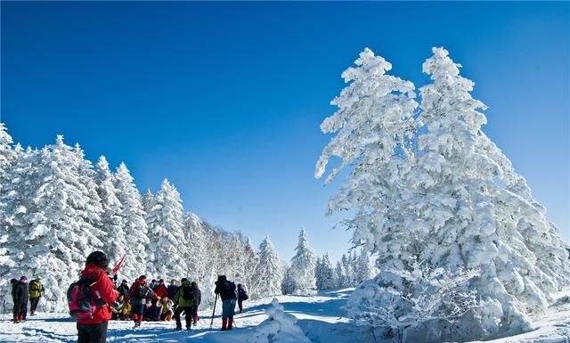 长白山森工集团仙峰盛景图10