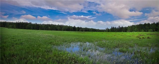 长白山森工集团仙峰盛景图11