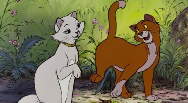 《疯狂动物城》为什么没有出现狗和猫呢