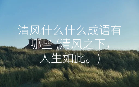 清风什么什么成语有哪些 (清风之下，人生如此。)