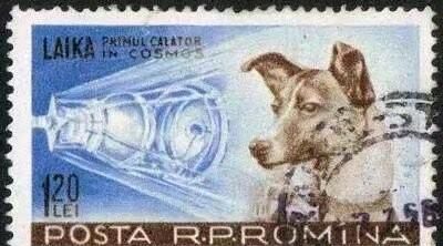 宇航员去世后为什么不能运回地球图3