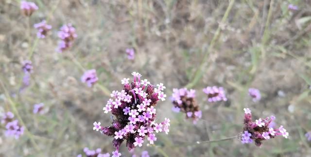 水管出水不畅怎么办