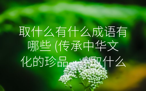取什么有什么成语有哪些 (传承中华文化的珍品——取什么有什么成语)