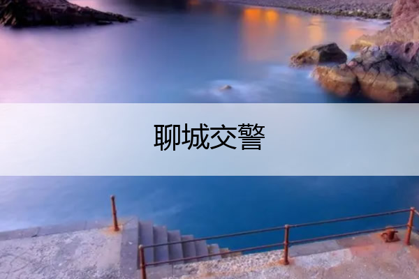 聊城交警 聊城交警网上车管所违章查询