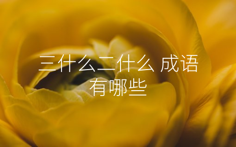 三什么二什么 成语有哪些