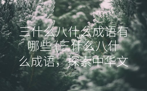三什么八什么成语有哪些 (三什么八什么成语，探索中华文化的精髓)