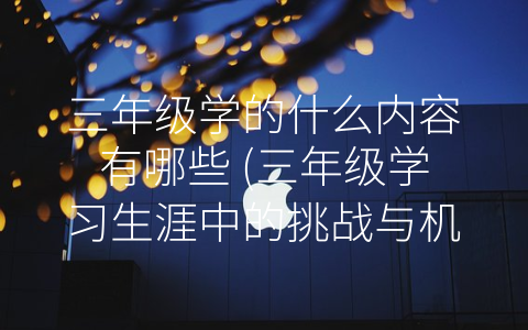 三年级学的什么内容有哪些 (三年级学习生涯中的挑战与机遇)