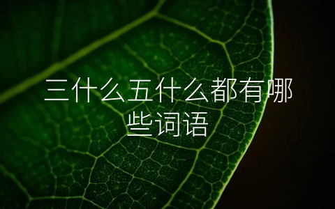 三什么五什么都有哪些词语