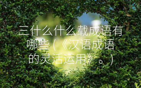 三什么什么载成语有哪些 (《汉语成语的灵活运用》。)