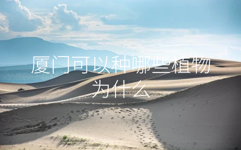 厦门可以种哪些植物为什么