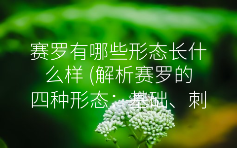 赛罗有哪些形态长什么样 (解析赛罗的四种形态：基础、刺藤蜥、岩贝龙、终极，谁是最强的赛罗？)