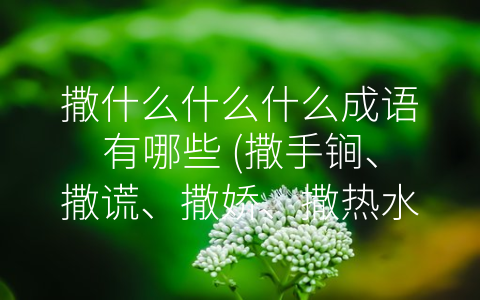 撒什么什么什么成语有哪些 (撒手锏、撒谎、撒娇、撒热水、撒手成立——探究撒什么什么什么成语)