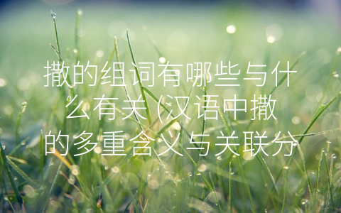 撒的组词有哪些与什么有关 (汉语中撒的多重含义与关联分析)