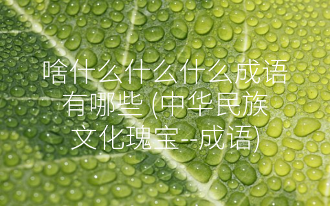 啥什么什么什么成语有哪些 (中华民族文化瑰宝--成语)