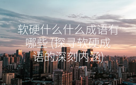软硬什么什么成语有哪些 (探寻软硬成语的深刻内涵)
