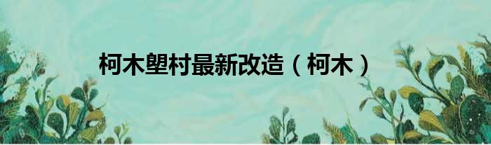 柯木塱村最新改造 柯木