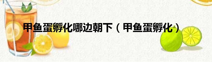 甲鱼蛋孵化哪边朝下 甲鱼蛋孵化