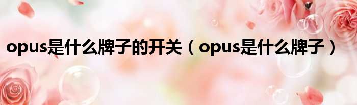 opus是什么牌子的开关 opus是什么牌子