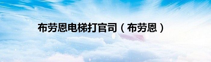 布劳恩电梯打官司 布劳恩