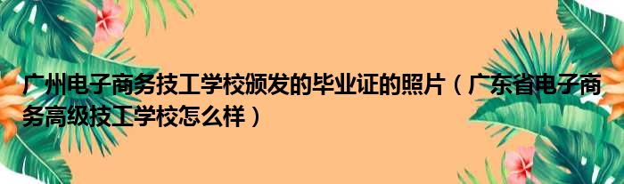 广州电子商务技工学校颁发的毕业证的照片 广东省电子商务高级技工学校怎么样