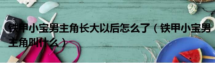 铁甲小宝男主角长大以后怎么了 铁甲小宝男主角叫什么