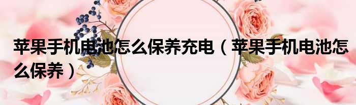苹果手机电池怎么保养充电 苹果手机电池怎么保养