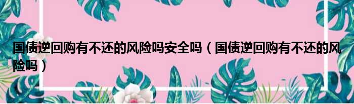 国债逆回购有不还的风险吗安全吗 国债逆回购有不还的风险吗