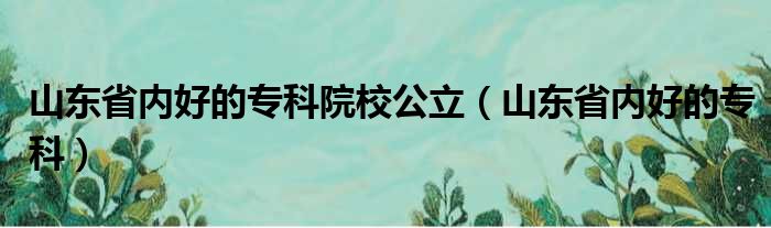 山东省内好的专科院校公立 山东省内好的专科