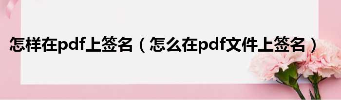 怎样在pdf上签名 怎么在pdf文件上签名